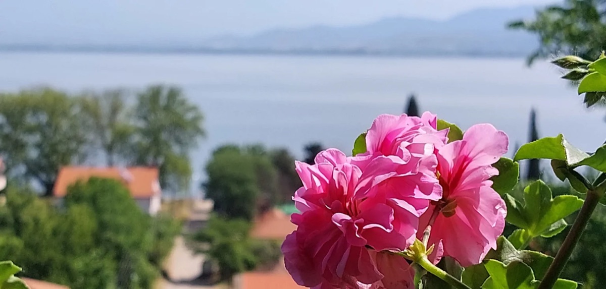 Vila Roza Apartments - accommodation in Star Dojran