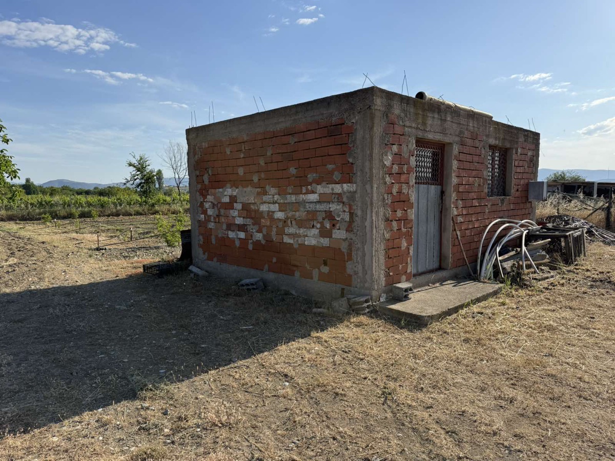 Additional visual for Vineyard and Fruit Plantation in Gevgelija - 10000 m2