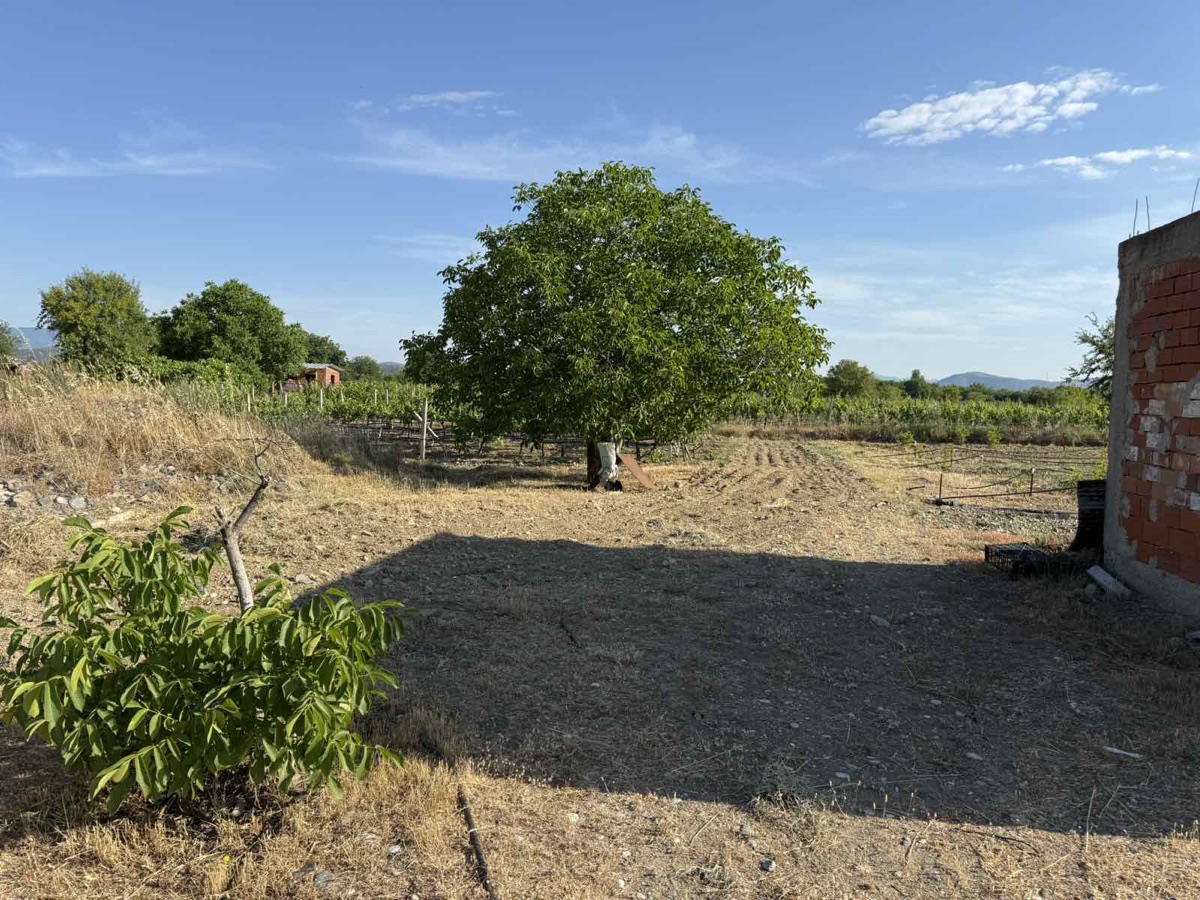 Additional visual for Vineyard and Fruit Plantation in Gevgelija - 10000 m2