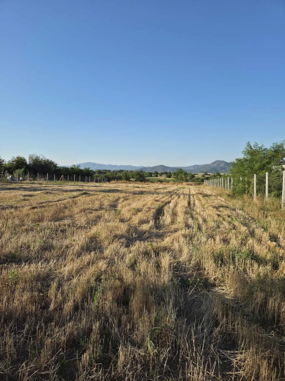 Additional visual for Industrial Land in Negorci - 2,275 m2